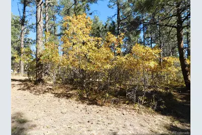 682 Copper Fox Place, Larkspur, CO 80118 - Photo 19