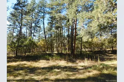 682 Copper Fox Place, Larkspur, CO 80118 - Photo 9