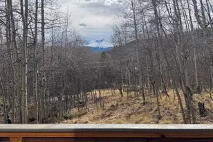 206 Empire Cir, Leadville, CO 80461 - Photo 5