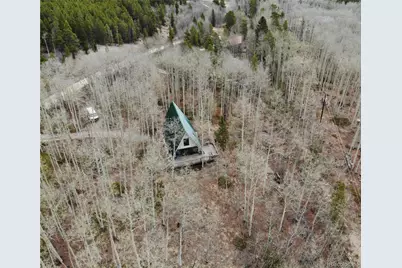 206 Empire Circle, Leadville, CO 80461 - Photo 3