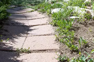 319 W Arkansas St, Buena Vista, CO 81211 - Photo 33