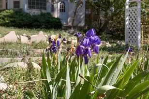 319 W Arkansas St, Buena Vista, CO 81211 - Photo 37