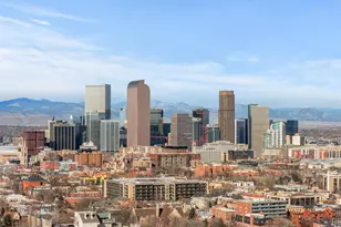 1265 Race St, Denver, CO 80206 - Photo 27