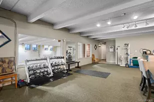 1265 Race St, Denver, CO 80206 - Photo 35