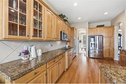 2626 Pemberly Avenue, Highlands Ranch, CO 80126 - Photo 9