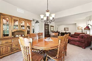 3037 Mashie Cir, Castle Rock, CO 80109 - Photo 9