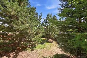 3037 Mashie Cir, Castle Rock, CO 80109 - Photo 39
