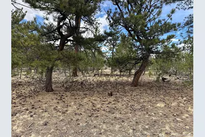 Chicha Road, Hartsel, CO 80449 - Photo 13