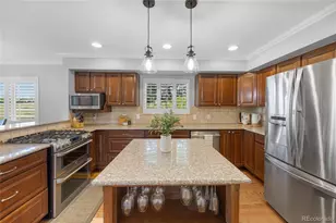 9025 Rocky Mountain Ln, Parker, CO 80138 - Photo 11