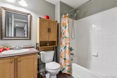 6238 Wescroft Avenue, Castle Rock, CO 80104 - Photo 19
