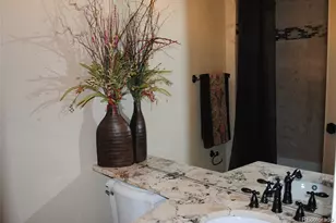 8798 Forrest Dr, Highlands Ranch, CO 80126 - Photo 15