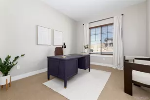 372 Castlemaine Ct, Castle Rock, CO 80104 - Photo 21