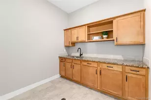 372 Castlemaine Ct, Castle Rock, CO 80104 - Photo 33