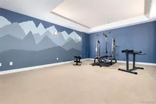 372 Castlemaine Ct, Castle Rock, CO 80104 - Photo 41