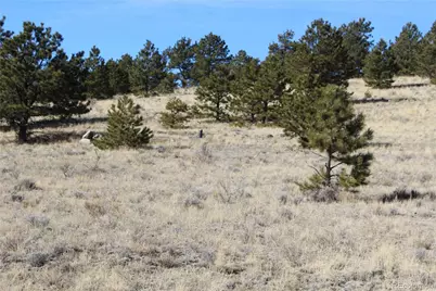 1615 Schulze Ranch Road, Westcliffe, CO 81252 - Photo 7