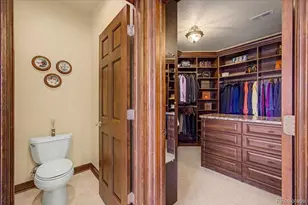 10492 Rivington Ct, Lone Tree, CO 80124 - Photo 21