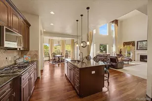 10492 Rivington Ct, Lone Tree, CO 80124 - Photo 9