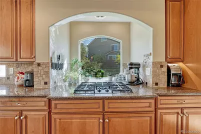 1410 Exquisite Street, Castle Rock, CO 80109 - Photo 9