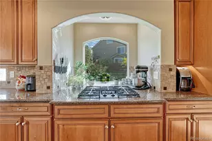 1410 Exquisite St, Castle Rock, CO 80109 - Photo 9