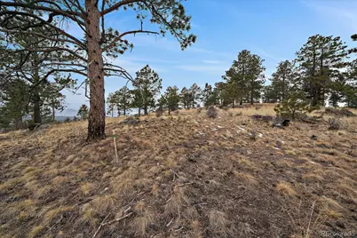 33550 Mount Wilson Trail, Pine, CO 80470 - Photo 29