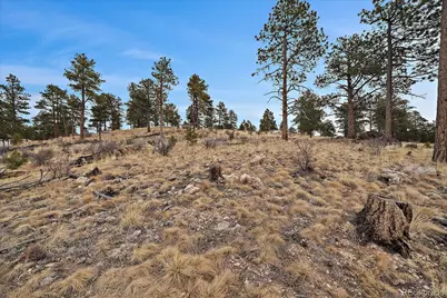 33550 Mount Wilson Trail, Pine, CO 80470 - Photo 19