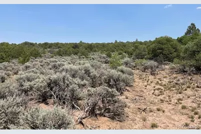 Lot 12 Bull Elk Trail, San Luis, CO 81152 - Photo 25