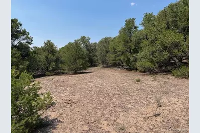 Lot 12 Bull Elk Trail, San Luis, CO 81152 - Photo 9