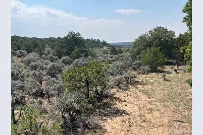 Lot 12 Bull Elk Trail, San Luis, CO 81152 - Photo 17
