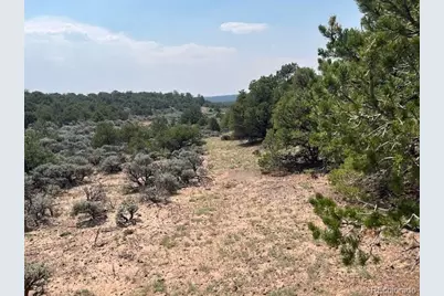 Lot 12 Bull Elk Trail, San Luis, CO 81152 - Photo 15