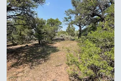 Lot 12 Bull Elk Trail, San Luis, CO 81152 - Photo 11