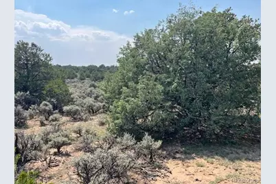 Lot 12 Bull Elk Trail, San Luis, CO 81152 - Photo 19