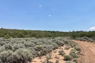 Lot 12 Bull Elk Trail, San Luis, CO 81152 - Photo 1
