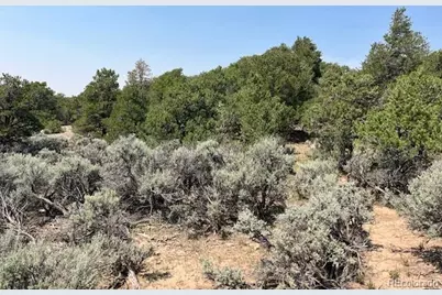 Lot 12 Bull Elk Trail, San Luis, CO 81152 - Photo 5