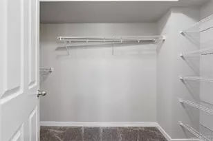 8343 Rivulet Point, Highlands Ranch, CO 80129 - Photo 21