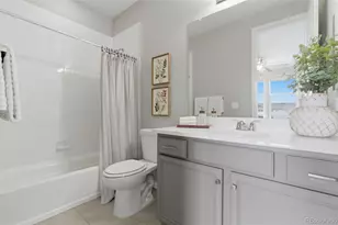 8343 Rivulet Point, Highlands Ranch, CO 80129 - Photo 25