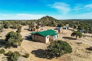 952 Twin Lakes Rd, Walsenburg, CO 81089 - Photo 9