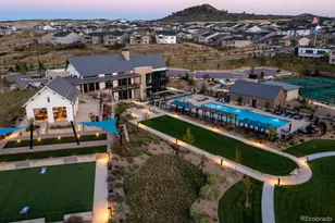 494 Basin Daisy St, Castle Rock, CO 80104 - Photo 33