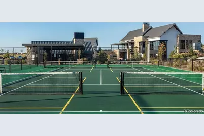 494 Basin Daisy Street, Castle Rock, CO 80104 - Photo 39