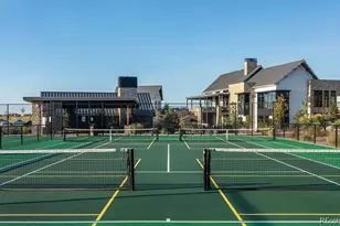 494 Basin Daisy St, Castle Rock, CO 80104 - Photo 39