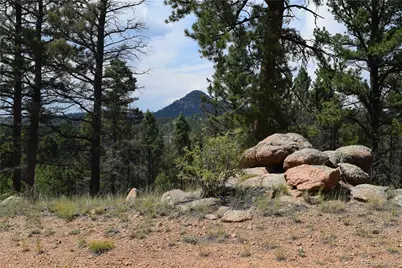 93 Kiowa Creek Trail, Florissant, CO 80816 - Photo 1