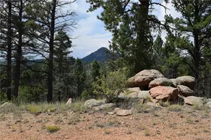 93 Kiowa Creek Trail, Florissant, CO 80816 - Photo 1