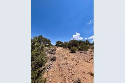 1134 Jorgulesco Road, Fort Garland, CO 81133 - Photo 7