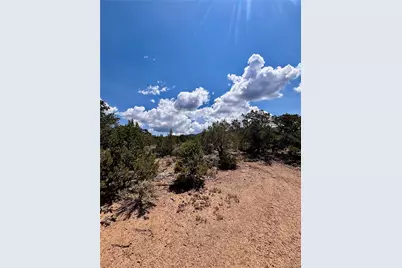 1134 Jorgulesco Road, Fort Garland, CO 81133 - Photo 13