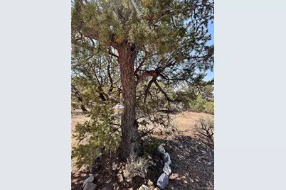 1134 Jorgulesco Road, Fort Garland, CO 81133 - Photo 5