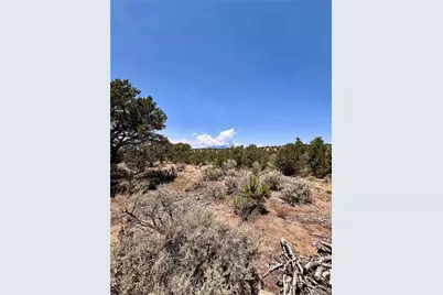 1134 Jorgulesco Road, Fort Garland, CO 81133 - Photo 15