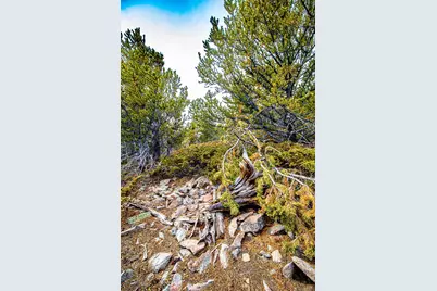 111 Hilltop Road, Idaho Springs, CO 80452 - Photo 23