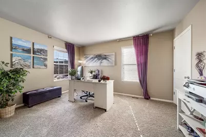 2042 Shadow Creek Drive, Castle Rock, CO 80104 - Photo 19