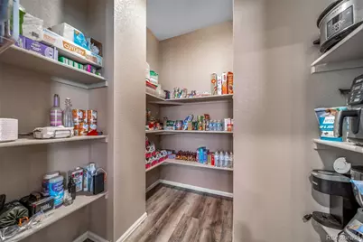 2042 Shadow Creek Drive, Castle Rock, CO 80104 - Photo 9