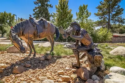 2042 Shadow Creek Drive, Castle Rock, CO 80104 - Photo 43