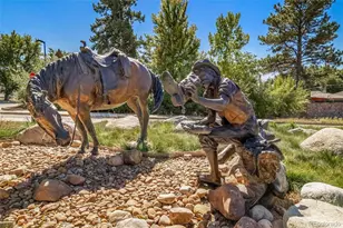 2042 Shadow Creek Dr, Castle Rock, CO 80104 - Photo 43